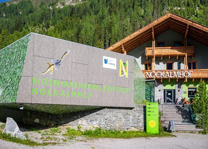 Apartment Nockalmhof 1 *