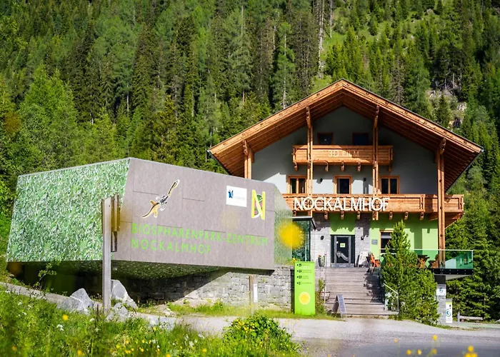 Apartment Nockalmhof 1 Kremsbrucke